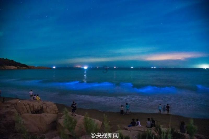 逗小猴开心系列176