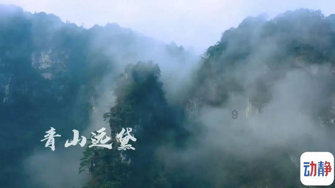 泡沫森林