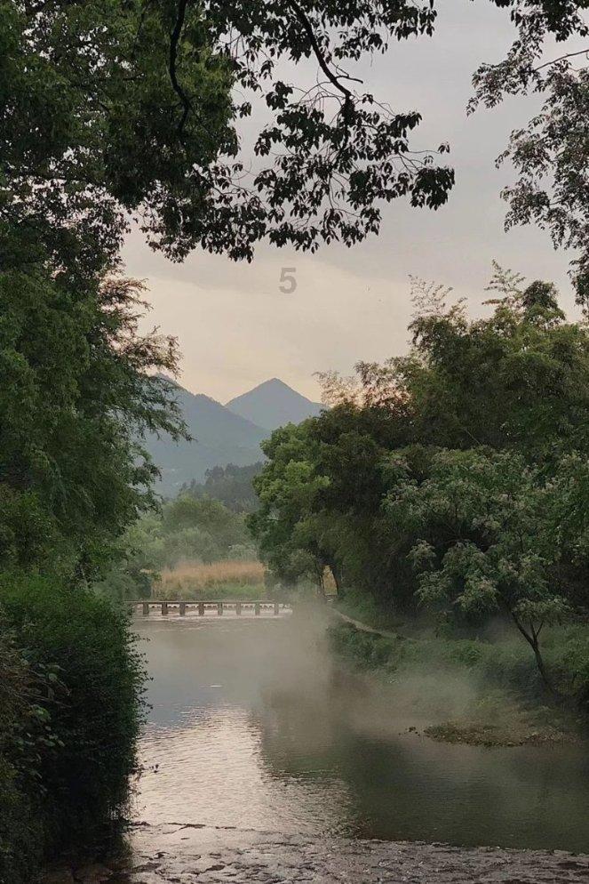 萌宠大连接