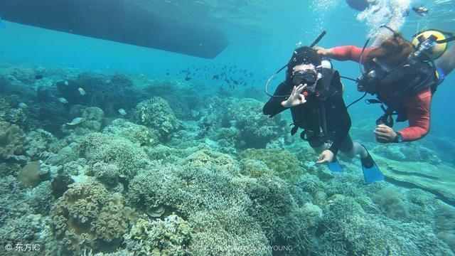 云南省水利设计院荣获环境保护科学技术二等奖